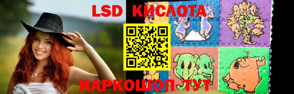mega вход  LSD-25 экстази ecstasy  Железногорск  Вход с VPN  ЛСД экстази ecstasy 