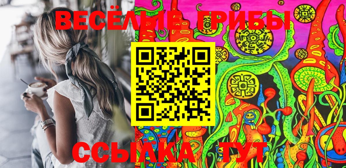 Псилоцибиновые грибы Psilocybe Железногорск