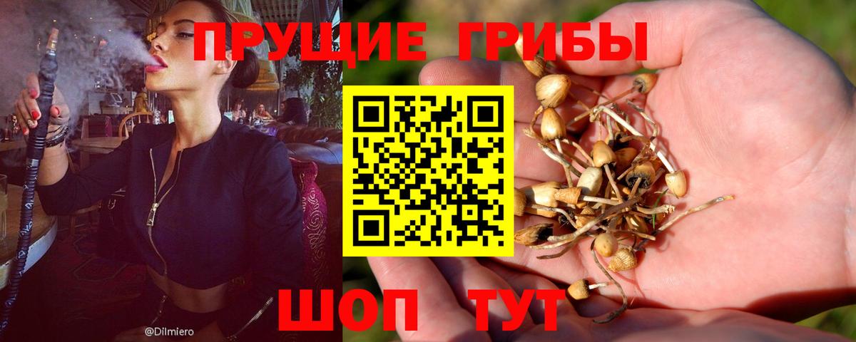 Железногорск  Вход с VPN  Меф МЯУ МЯУ   Канабис  Cocaine  Экстази 